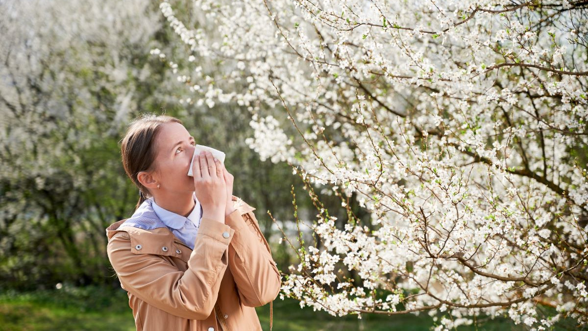 Découvrez pourquoi les allergies au pollen explosent en 2025 !